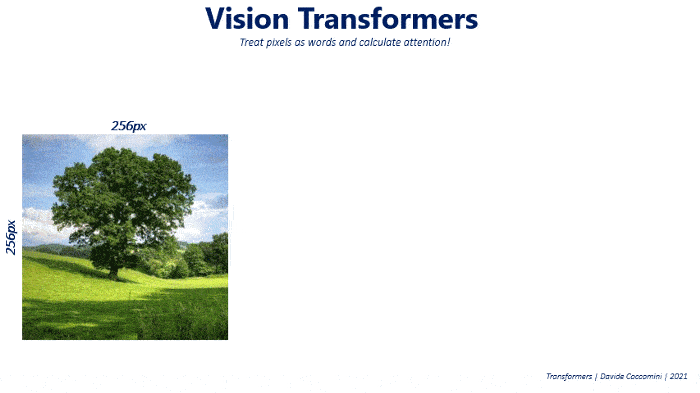 Vision transformers’ complexity